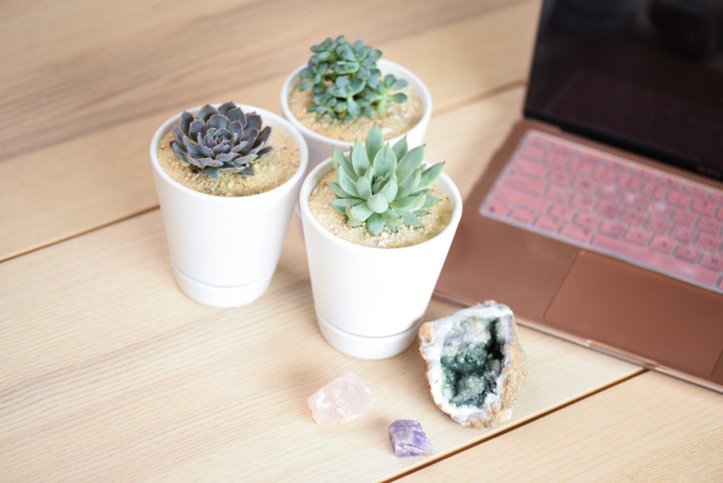 Succulents and crystals are staged on a table next to a laptop for a branding picture.